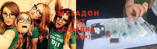 стаф Алзамай