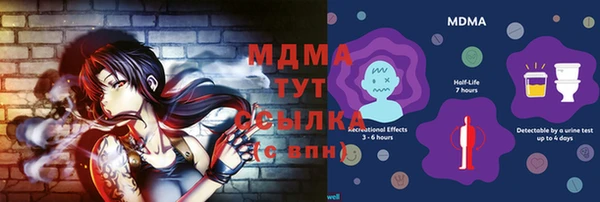 стаф Алзамай