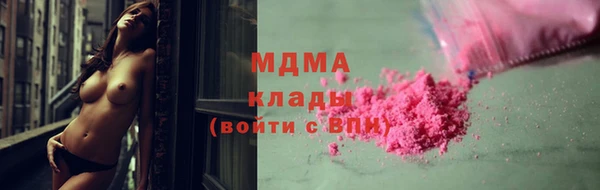 стаф Алзамай