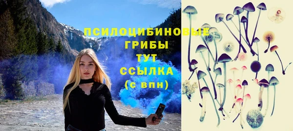 стаф Алзамай