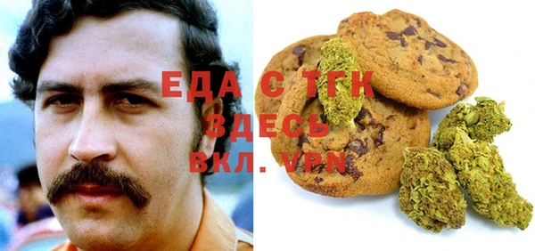 стаф Алзамай