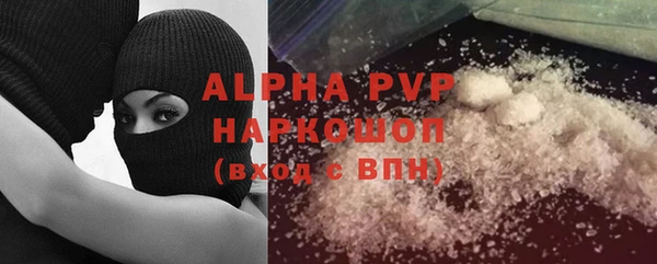 стаф Алзамай